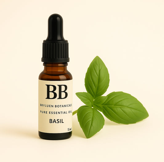 Basil Pure Essential Oil