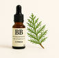 Cypress Pure Essential Oil