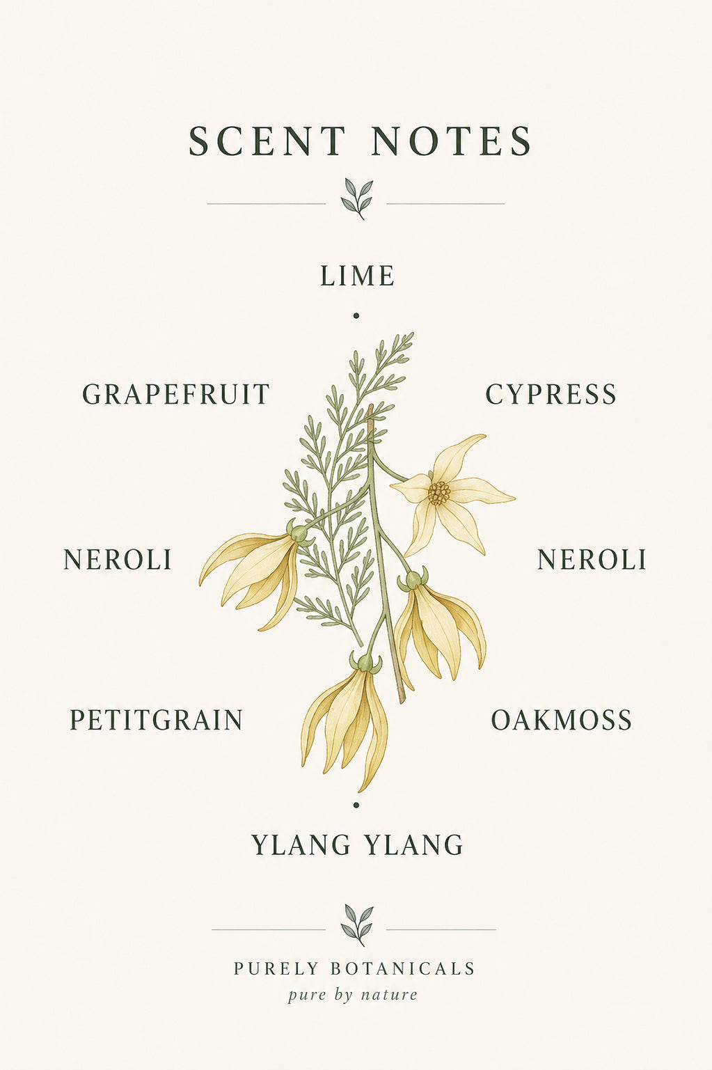 The Shoreline Reed Diffuser — 100ml