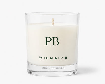 Wild Mint Air Candle